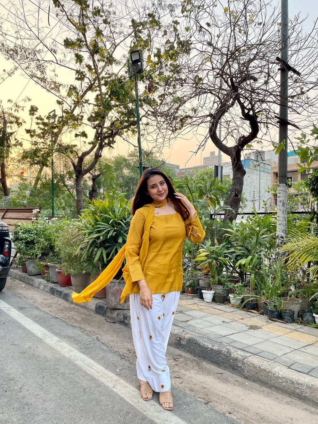 D- Sunflower Farsi Salwar Set With Dupatta