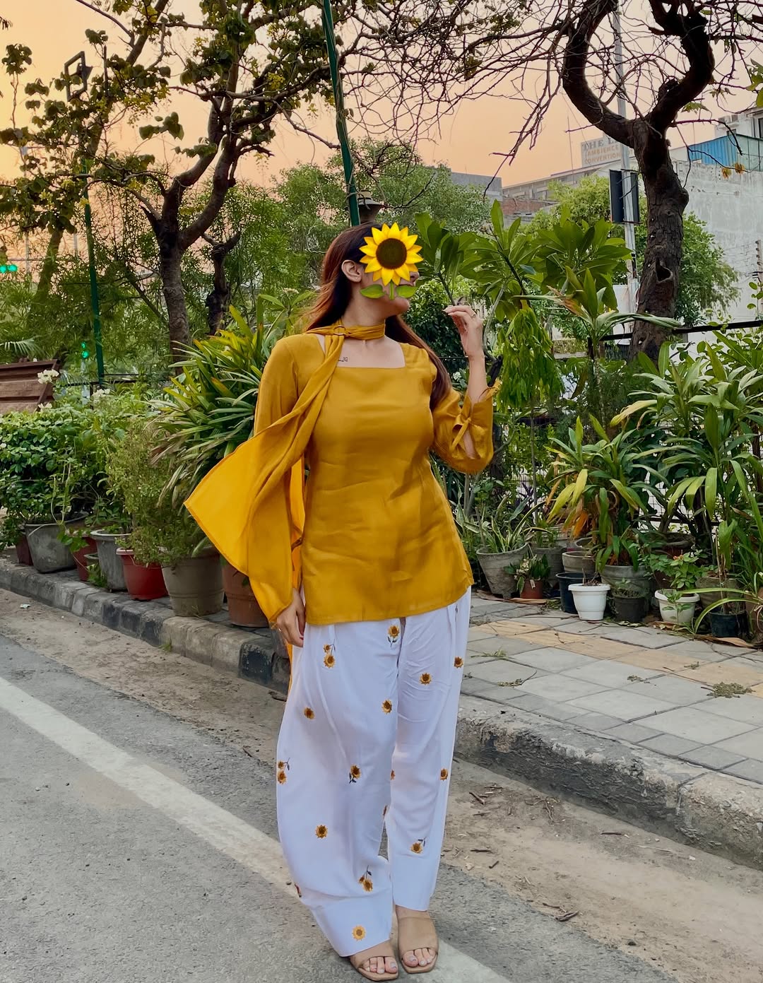 D- Sunflower Farsi Salwar Set With Dupatta