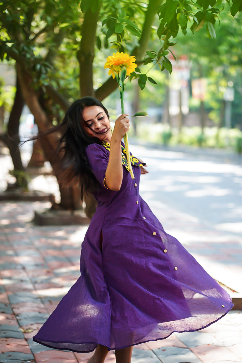 Purple Pond Sunflower